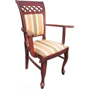 Jídelní židle 113 dub sonoma/Niagara 3