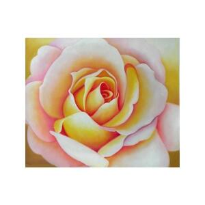Obraz - Květ růže