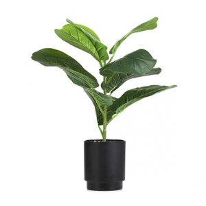 Umělá rostlina SEMELA fíkus 875071 43 cm