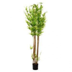 Umělá rostlina TROPICAL ZONE bambus 877921 180 cm