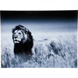 KARE Design Skleněný obraz Lev v africké savaně 120x160cm