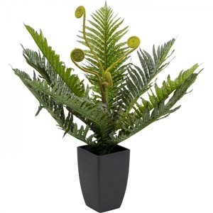 KARE Design Dekorativní rostlina Farn 55cm