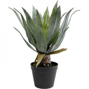 KARE Design Dekorativní rostlina Agave 40cm