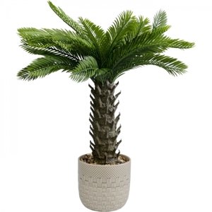 KARE Design Dekorativní rostlina Cycas 70cm
