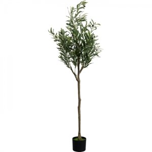 KARE Design Dekorativní rostlina Olive Tree 150cm