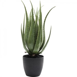 KARE Design Umělá rostlina Aloe 69cm