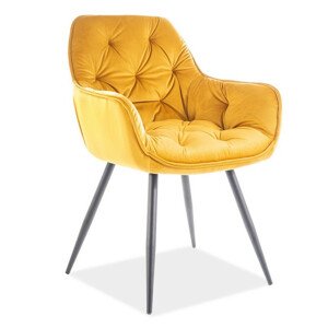 Casarredo Jídelní čalouněná židle CASA 11009 velvet žlutá curry/černá