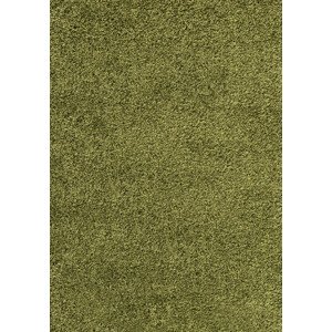 Ayyildiz Kusový koberec Dream Shaggy 4000 – zelená 120x170 cm
