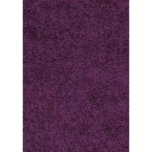 Ayyildiz Kusový koberec Dream Shaggy 4000 – fialová 65x130 cm