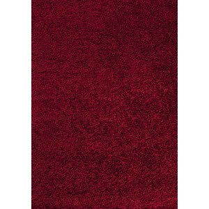Ayyildiz Kusový koberec Dream Shaggy 4000 – červená 65x130 cm